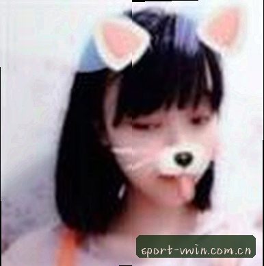 张磊